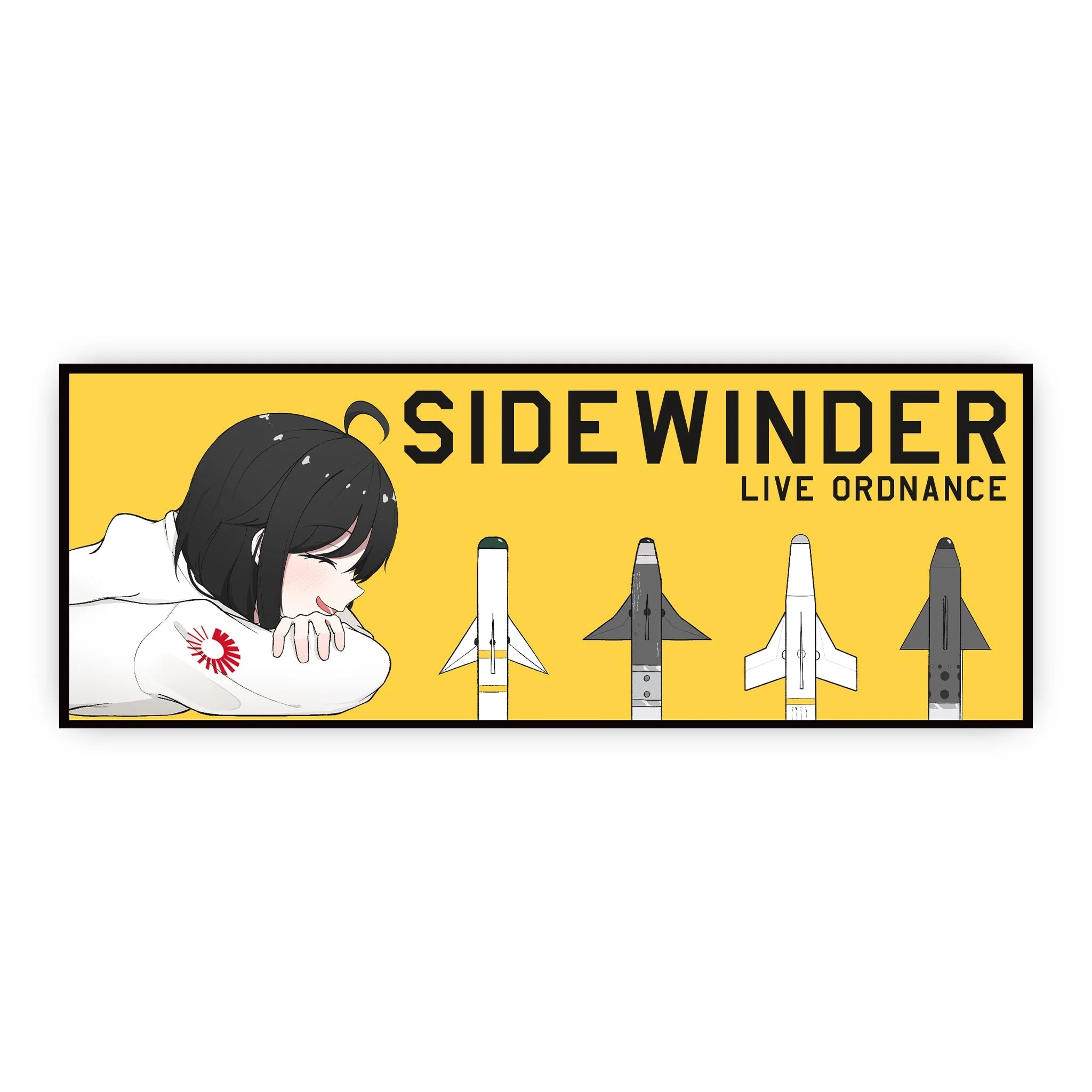 Aim-9 Sidewinder 2.0: Atamonica Bundle - Image 11